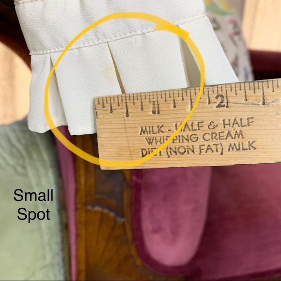 Vintage Ruffled Blouse - Picture 6 of 9